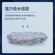 铂钻EverClean 猫砂膨润土无尘 美国活性炭 除臭高端猫砂 绿标舒敏11.3kg 现货