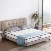 18点截止：GOOD NIGHT 晚安 W203-Pro 3E椰棕整网弹簧护脊床垫 180*200*22cm
