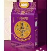 88VIP：SHI YUE DAO TIAN 十月稻田 香稻贡米 5kg  *2件