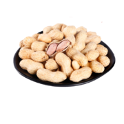京东特价app: 西叶 蒜香味花生 500克/袋