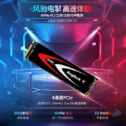 金百达（KINGBANK）1TB SSD固态硬盘 M.2接口(NVMe协议) KP230系列