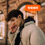 Beyerdynamic 拜亚动力 FREE BYRD 真无线降噪蓝牙耳机 黑色