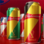 百威啤酒 FIFA世界罐450ml*20听