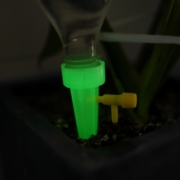 家用自动浇花器带开关控制阀门滴水器出差旅行懒人浇花工具 6个装（颜色随机）