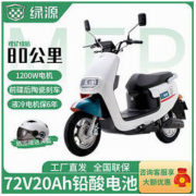 LUYUAN 绿源 MEP-欧丰 电动摩托车 LY1200DT-19B