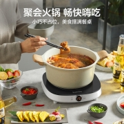 苏泊尔（SUPOR）coco系列 电磁炉2100W大功率9档火力旋钮调节方形小巧多功能家用火锅炉电磁炉 C21-IC802D