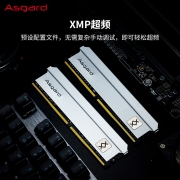 阿斯加特（Asgard）8G DDR4 3200 台式机内存条 弗雷系列-钛银甲