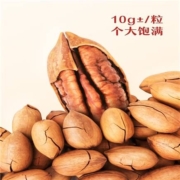双11预告、31号20点、前300份：三只松鼠 碧根果500g*2件