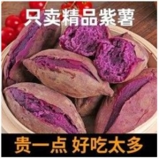 澳农卡新鲜紫薯山东板栗地瓜小蜜番薯山芋红薯2/5斤农家自种沙地(需用券)