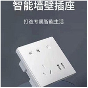 DELIXI 德力西 涂鸦智能德力西86墙壁WiFi远程控制天猫精灵小度小爱定时插座