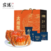 【活蟹】农谣 大闸蟹螃蟹鲜活现货 特大蟹 中秋生鲜河蟹实物水产礼盒 2.0-2.3两8只 全母蟹【送礼佳选】