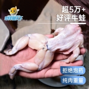 中洋鱼天下 牛蛙 净重350g 2只装 四去免洗 国产生鲜 健康轻食 海鲜水产 生态养殖