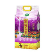 20点开始、88VIP：SHI YUE DAO TIAN 十月稻田 寒地之最香稻贡米 5kg