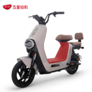 五星钻豹电动车 新国标48V14AH长跑王电瓶车小型代步车轻便两轮电动自行车 B8 魅力金/源彩波红