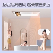 奥普浴霸 集成吊顶灯风双暖浴霸 灯暖风暖换气多功能五合一 LED照明大功率6125A 双暖浴霸6125A