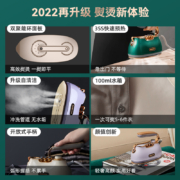 大宇（DAEWOO）挂烫机家用 手持熨烫机 蒸汽电熨斗 旅游出差便携式小型除菌自清洁烫衣机 白色