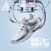 匹克态极3.0PRO跑步鞋男鞋秋季网面透气运动鞋减震舒适男士轻便跑鞋子 银翼配色（男款） 42