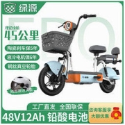 LUYUAN 绿源 新国标电动自行车48V12A电动车通勤代步买菜接娃电瓶车FBQ