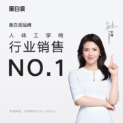 黑白调P31 人体工学椅电脑椅电竞椅子办公椅老板椅靠背游戏家用可躺 P31-黑色-高配版
