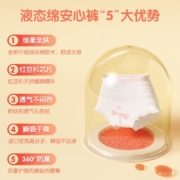 安可新 安心裤夜用裤型卫生巾超熟睡安睡裤量大安全防侧漏夜安裤 液态绵安心裤L码20条