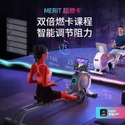 麦瑞克（MERACH）超燃脂智能划船机降音磁阻划船机室内家用健身器材 MRSRM53163