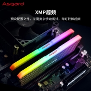 阿斯加特（Asgard）16GB(8Gx2)套装 DDR4 3200频率 台式机内存条 RGB灯条-炫彩灯效/W2