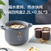 美的（Midea） 电炖锅 电炖盅 煲汤锅炖汤锅 煮粥锅 隔水炖锅燕窝炖盅2.2L 智能预约 DZ22E101
