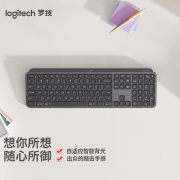 罗技（Logitech）MX Keys 键盘 无线蓝牙键盘 高端办公键盘 超薄 全尺寸 智能背光 深灰色
