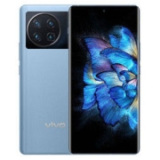 百亿补贴：vivo X Note 5G智能手机 12GB+256GB
