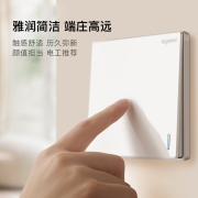罗格朗（LEGRAND）开关插座面板 仕典系列玉兰白色86型暗装墙壁电源五孔插座套餐 错位五孔插座（斜）
