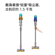 戴森V12 Detect Slim Fluffy无绳吸尘器（2022款蓝色）