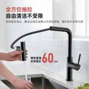 雅格纳 德国（Vagerra）厨房水龙头冷热抽拉双出水可旋转防溅精铜洗碗池洗菜盆水龙头 【双出水旋转可抽拉】星夜黑厨房龙头