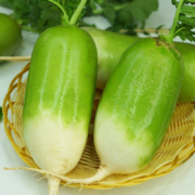 京东特价APP：河南 正宗青萝卜 带箱5斤