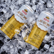 燕京啤酒 原浆白啤12度 500ml*12听 整箱装