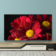 TCL电视 75T8E Max（黑） 75英寸QLED原色量子点电视 4+64G 120Hz 4K超清全面屏 液晶智能平板电视