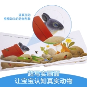乐乐趣童书 动物朋友 低幼认知读物系列  低幼启蒙认知 感官发育刺激 幼儿园阅读早教书籍绘本 0-3岁 推拉书-忙碌的小兔