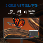 飞利浦 23.8英寸 2K IPS Type-C65W 低蓝光 网课 旋转升降 高清设计 办公显示器 娱乐显示屏 24E1N5600E