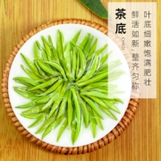 绿满堂 雀舌 茶叶绿茶2022新茶明前头采嫩芽特级春茶贵州毛尖湄潭嫩芽翠芽高山云雾茶50克罐装 50克