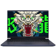 机械革命 蛟龙16 2.5K 240Hz高刷 16英寸游戏电竞笔记本电脑(R7-6800H 16G 512G RTX3060满血)