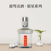 迎驾贡酒  银星 42度 浓香型白酒  520ml 单瓶装