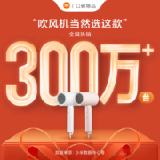米家 小米电吹风 吹风机  负离子护发可折叠 H100 白色