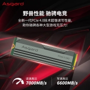 阿斯加特（Asgard） 1TB SSD固态硬盘 M.2接口(NVMe协议PCIe 4.0 x4) AN4 1TB