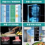 【鲜域】海信650升对开双门家用一级节能变频风冷无霜大容量冰箱BCD-650WFK1DPUQ