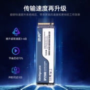 金泰克（kimTigo）1TB SSD固态硬盘 M.2接口（NVMe协议） 四通道PCIe 高速大容量固态 DP2500