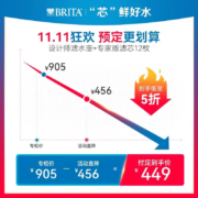 碧然德（brita） 家用净水壶 滤水壶滤芯 MAXTRA+LE 去水垢专家版滤芯 专家版滤芯12枚+海洋壶蓝色（到手1壶13芯）