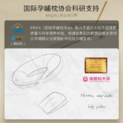 爱孕（iyun）哺乳枕喂奶枕益生菌多功能哺乳垫护腰枕喂奶神器