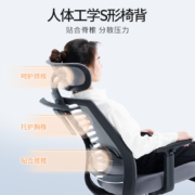 恒林 玄星电脑椅人体工学椅久坐舒适办公椅家用可调节腰靠椅子升降旋转座椅 HLC-2788黑色经典款