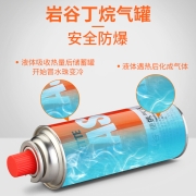岩谷户外便携卡式炉防爆气罐液化瓦斯气体燃气罐卡斯炉丁烷6罐250g气瓶+收纳包