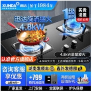 XUNDA 迅达 液化气双灶家用爆炒燃气灶4.8kw天然气灶嵌入式旋流火灶具QT5