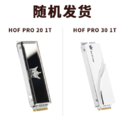影驰 名人堂HOF SSD固态硬盘PCIE4.0 M.2接口NVME协议台式机电脑PS5固态硬盘 HOF PRO 20 1TB/读速5000MB/S